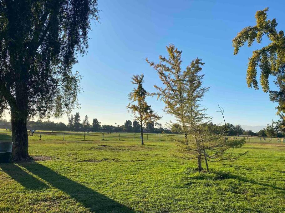 Hidden Gem La 2bd House With Dreamy Backyard Vakantiehuis *