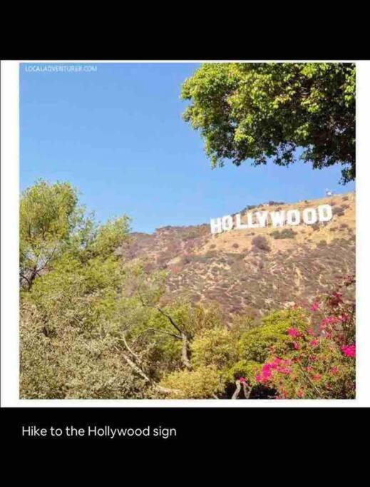Vakantiehuis Hidden Gem La 2bd House With Dreamy Backyard *